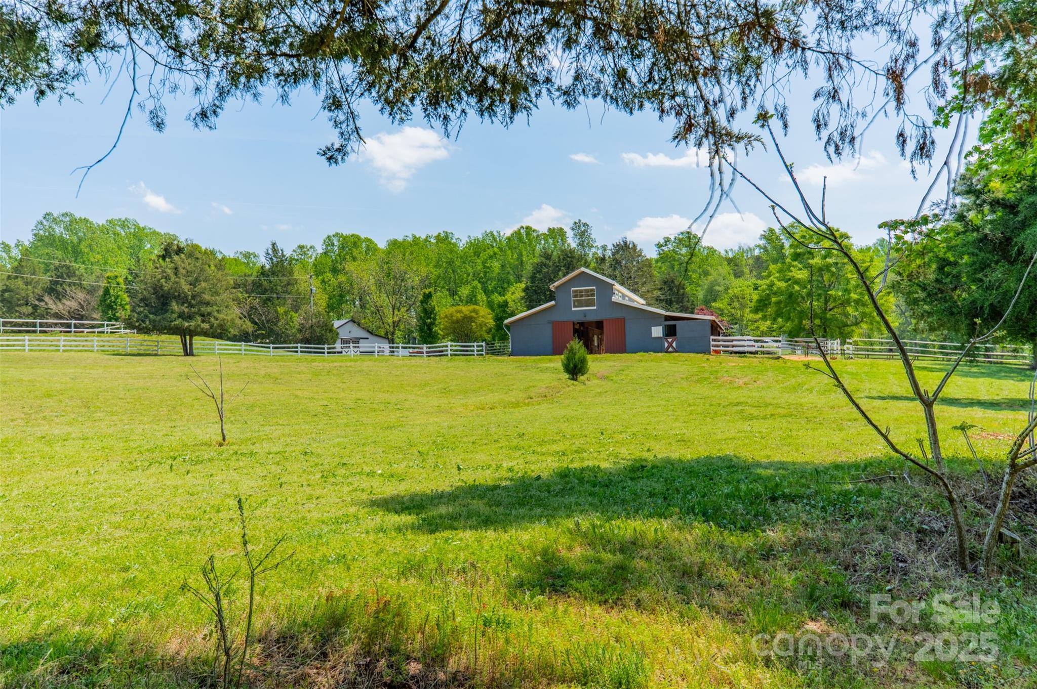 228 Red Dog Drive