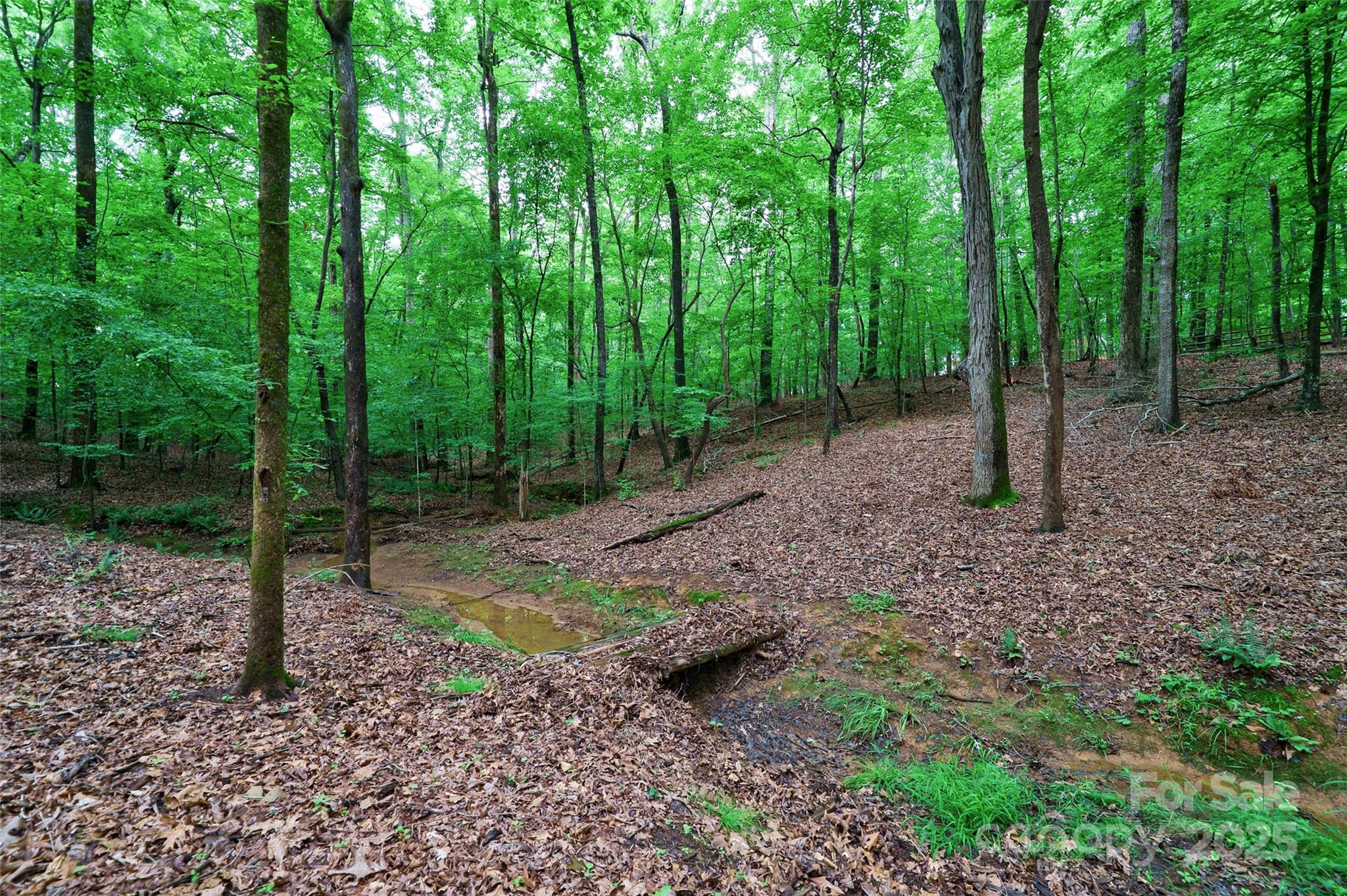 2314 Winding Oaks Trail