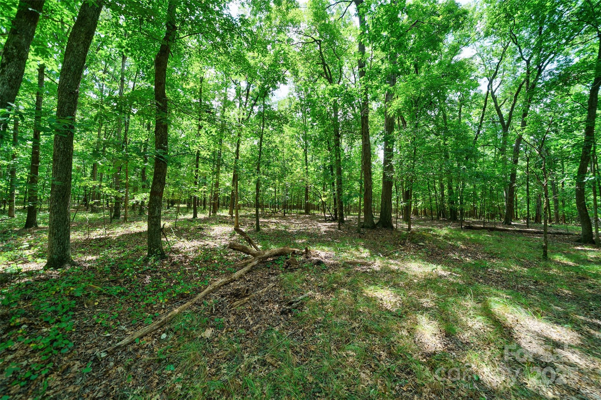 41362 Mountain View Church Road