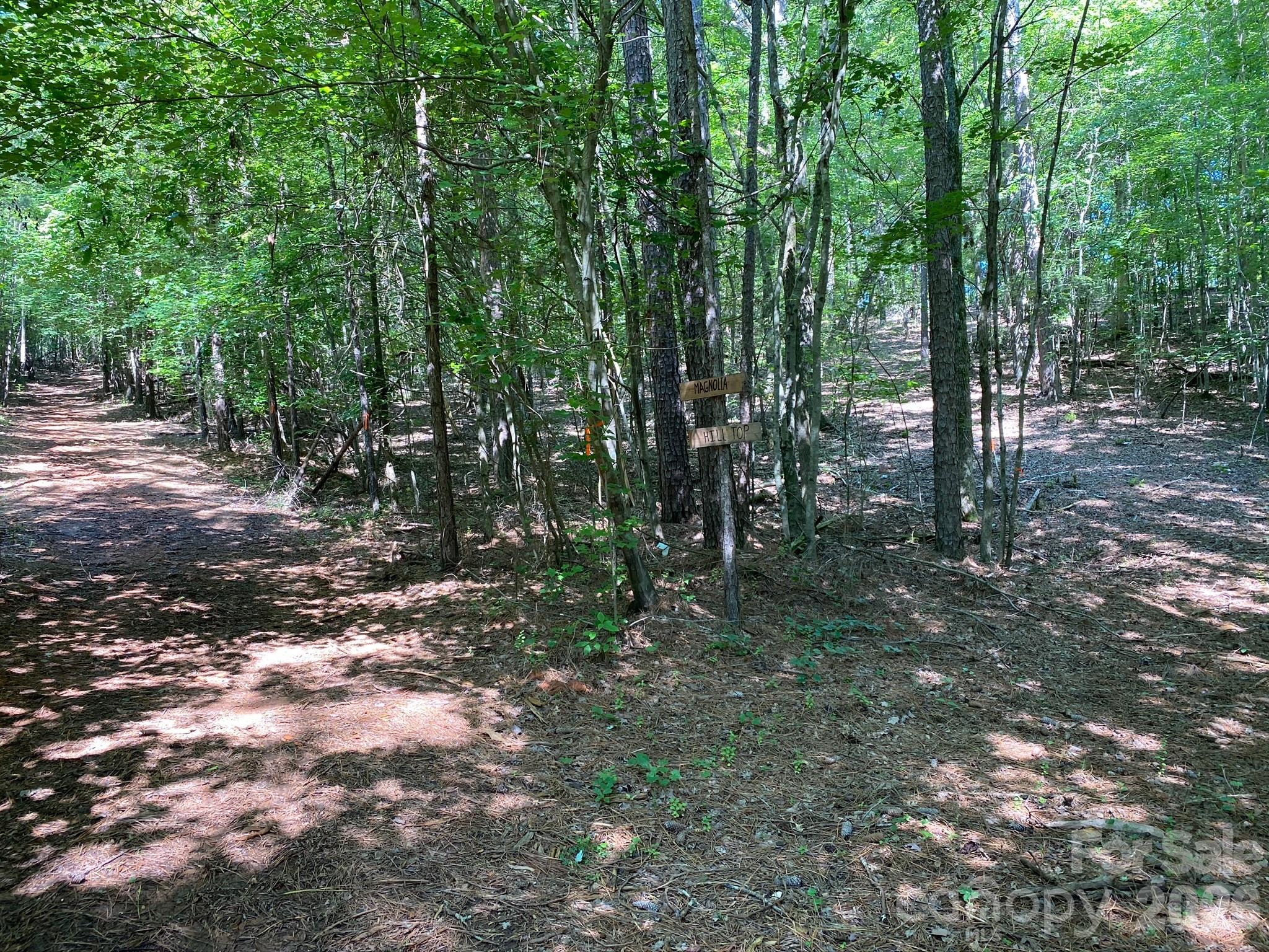 1619 Ellis Belk Road