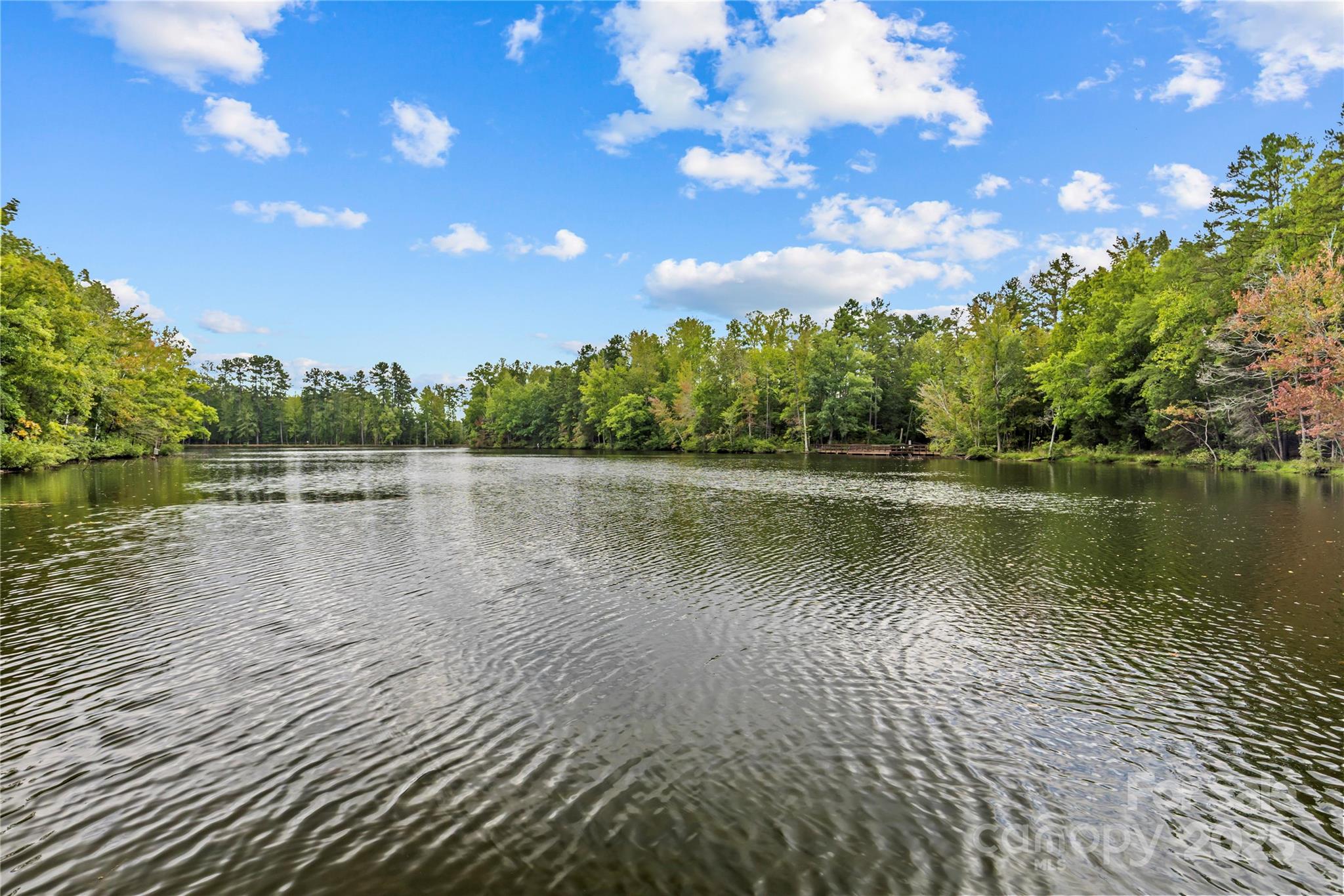 8097 Asher Chase Trail