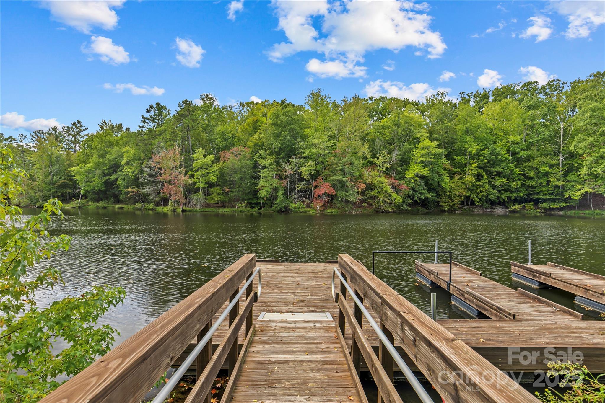 8097 Asher Chase Trail