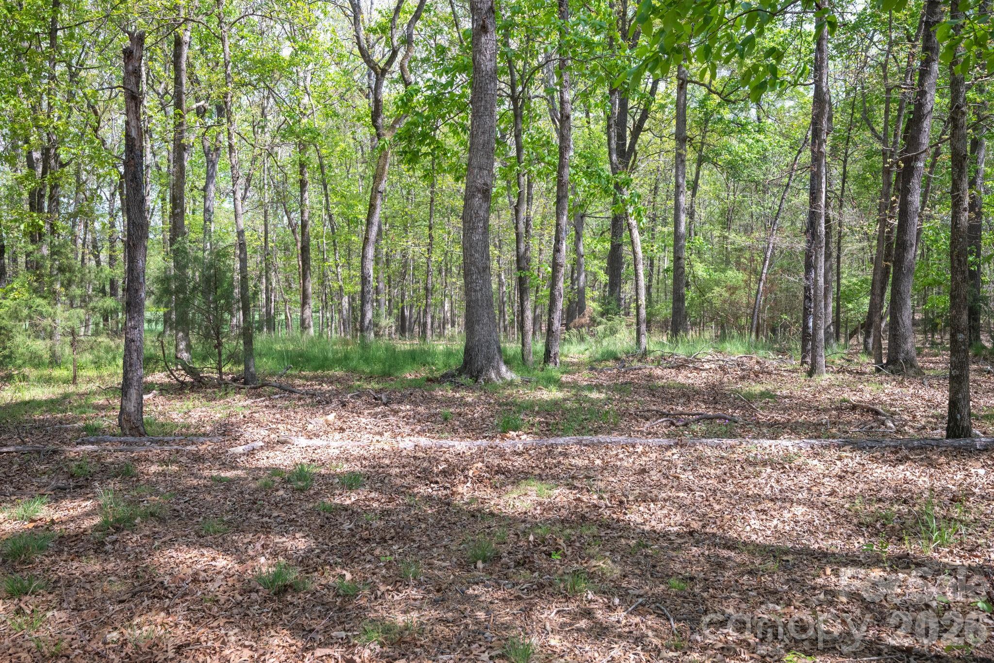 824 N Forest Hills School Road