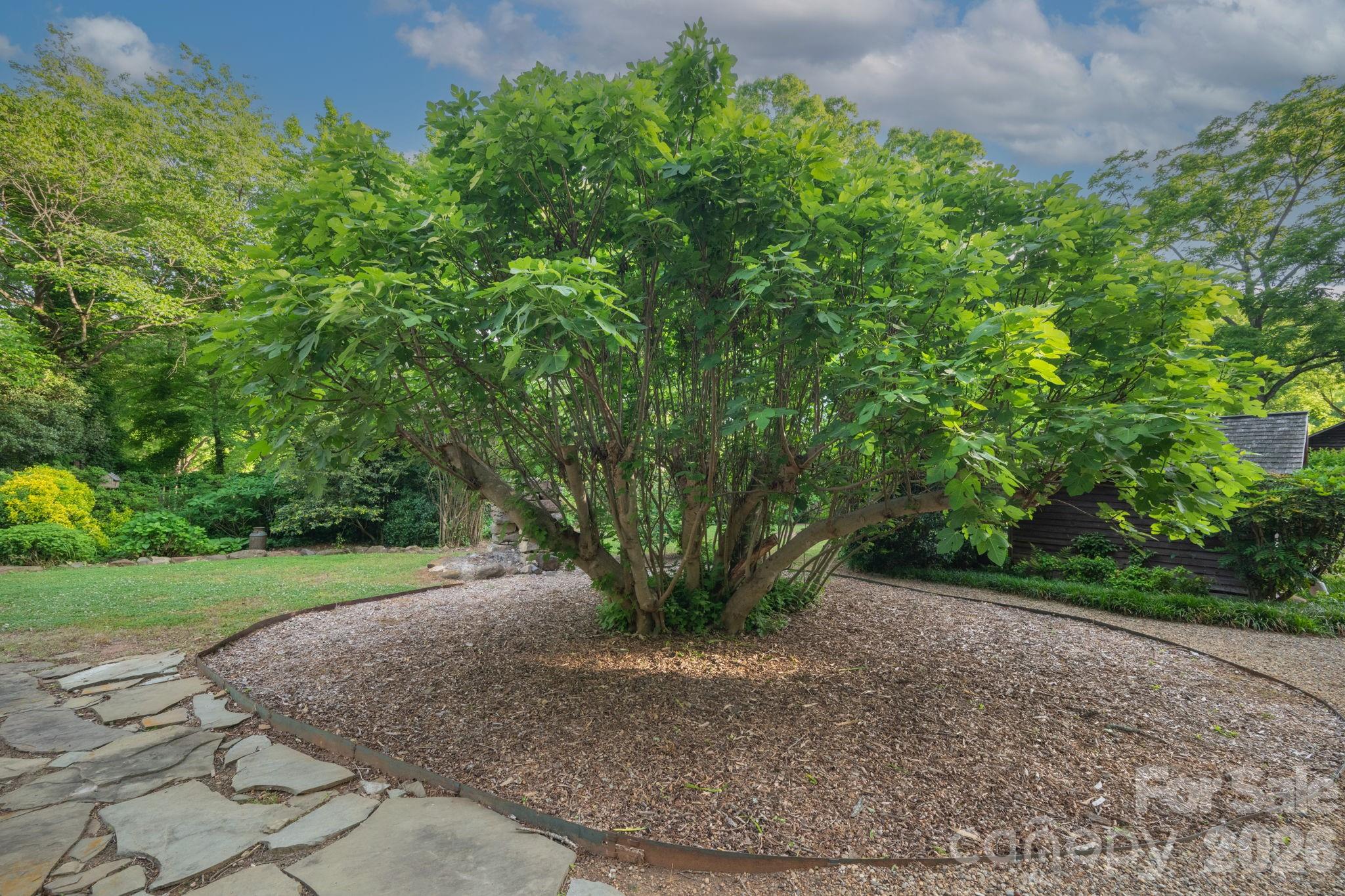 10915 Beatties Ford Road