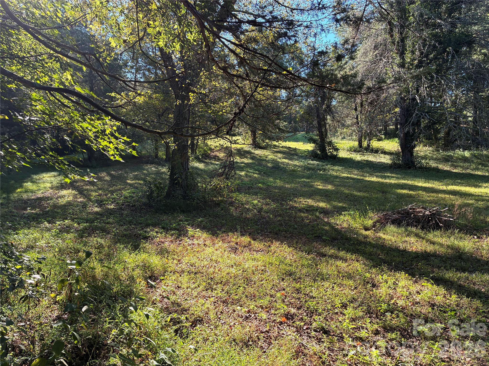 16506 Whispering Oaks Lane