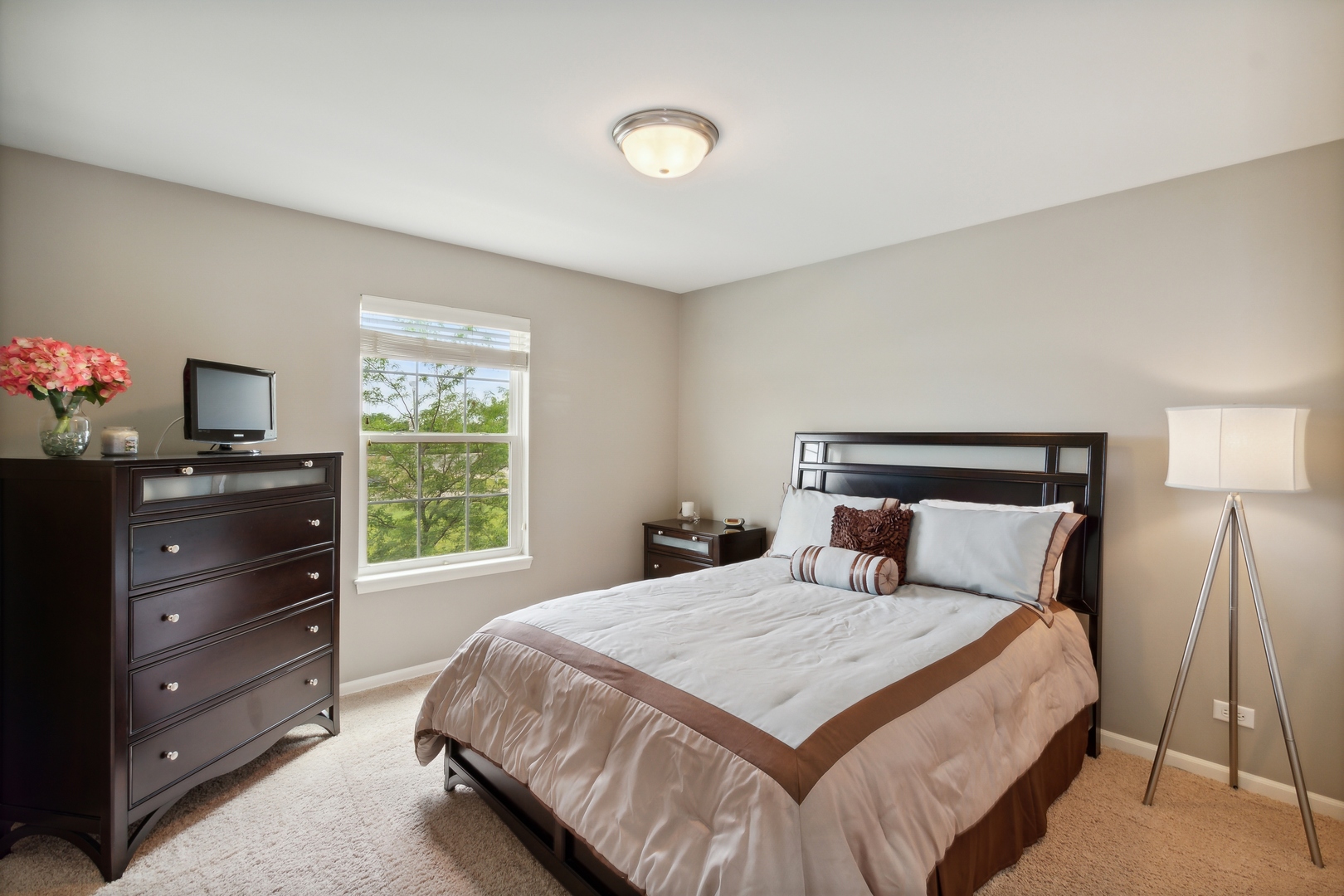 3648 Ancient Oak Drive