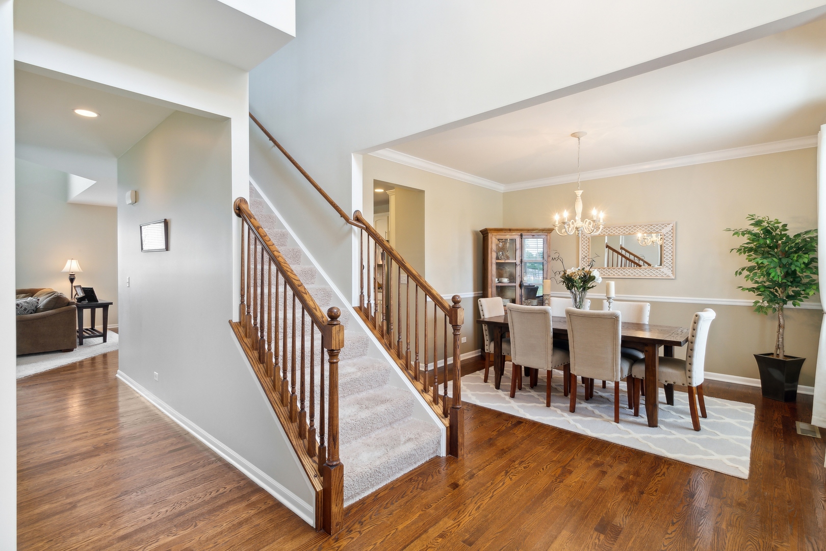 3648 Ancient Oak Drive