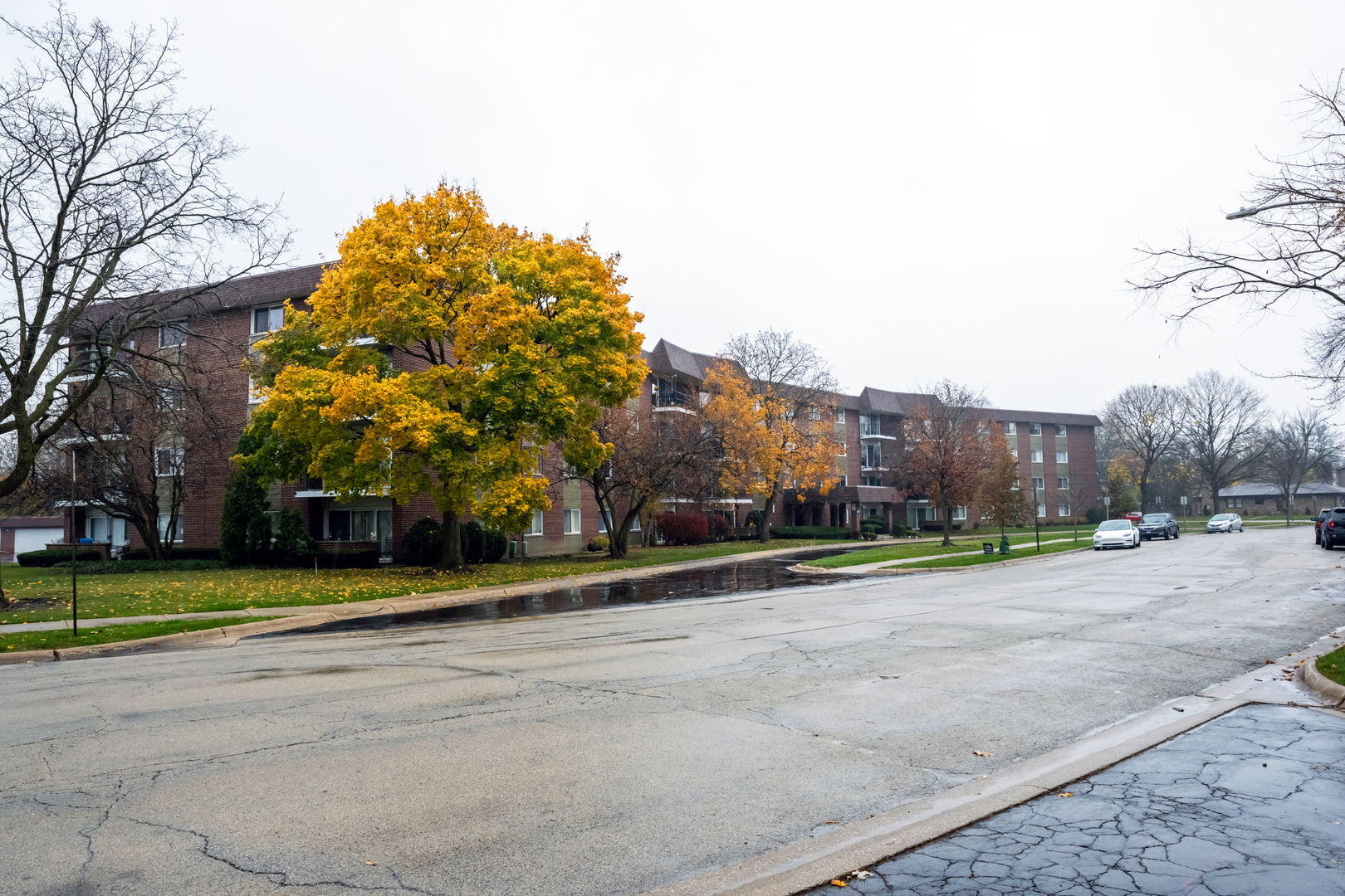 1025 S Fernandez Avenue Unit: 3C