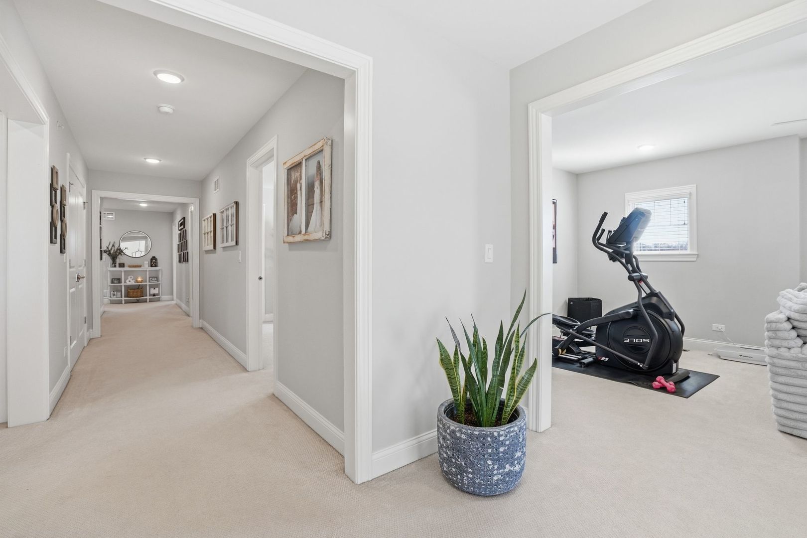 24324 N Blue Aster Lane