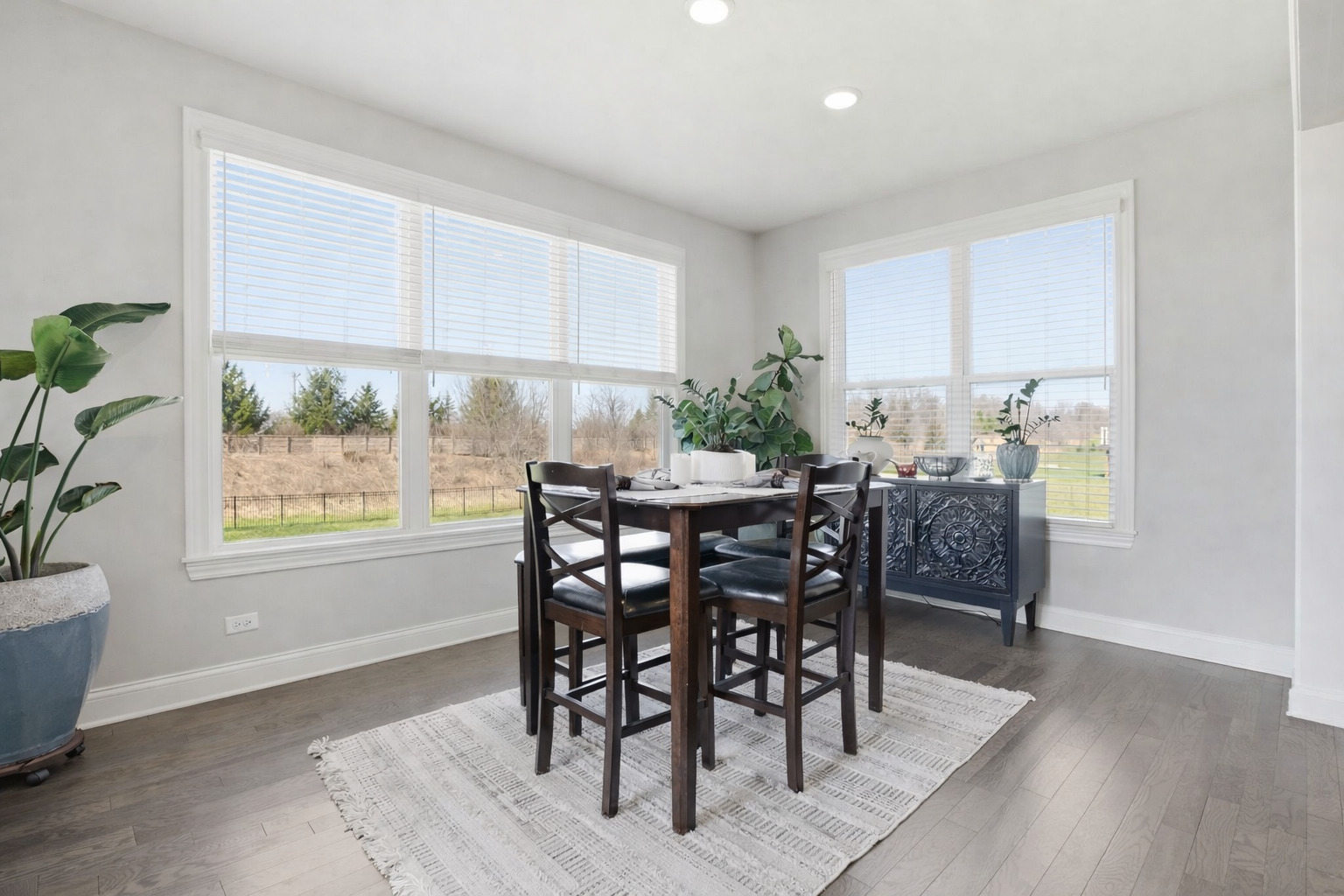 24324 N Blue Aster Lane