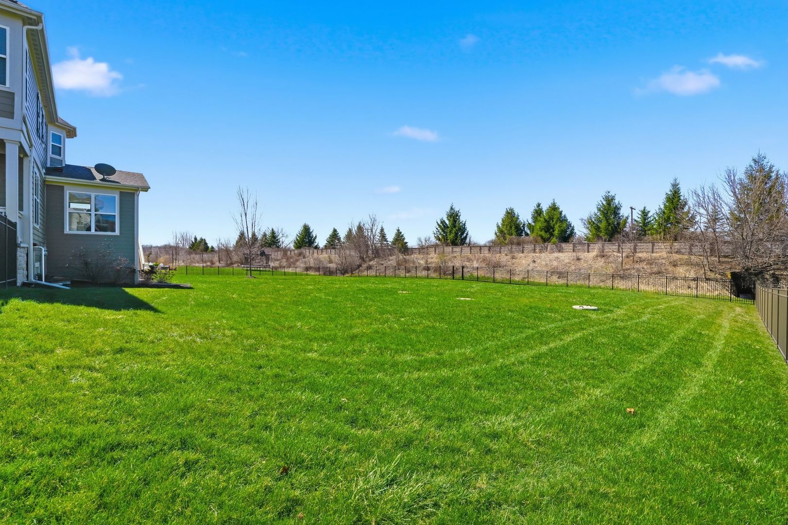 24324 N Blue Aster Lane