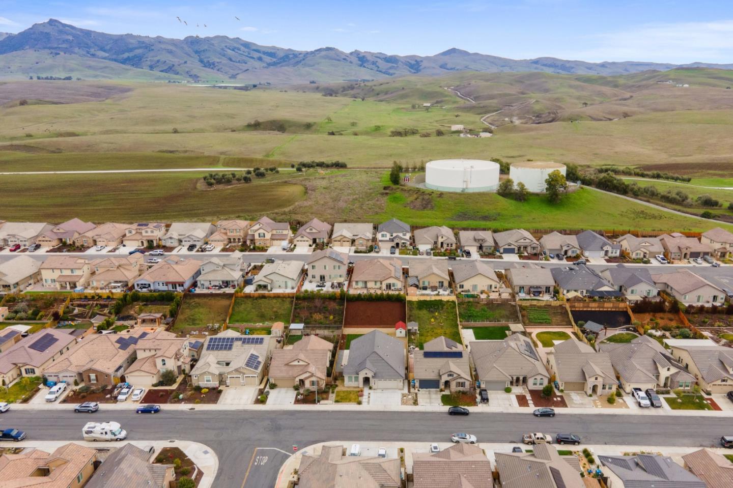 1605 Goldenstar Court