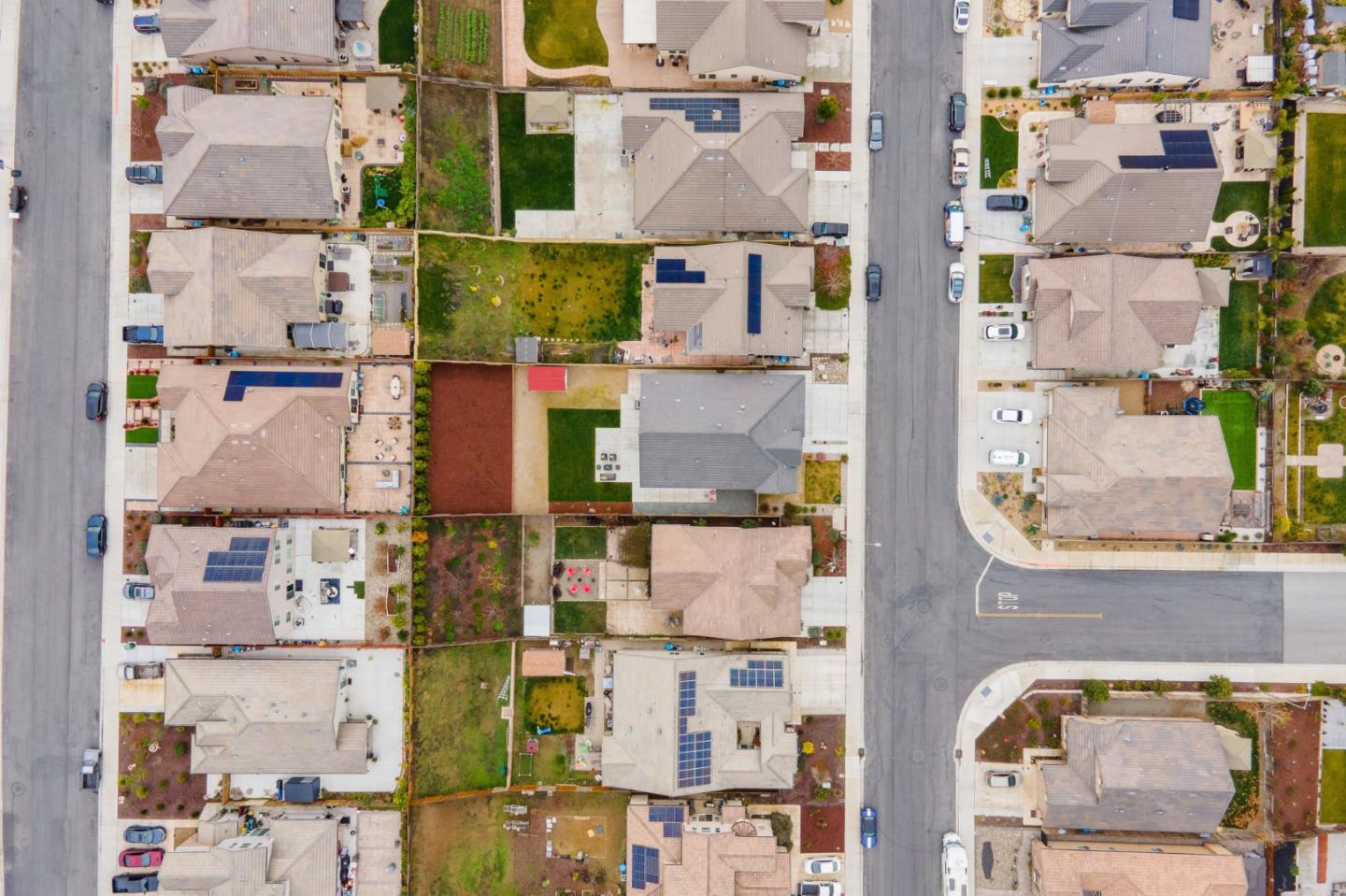 1605 Goldenstar Court