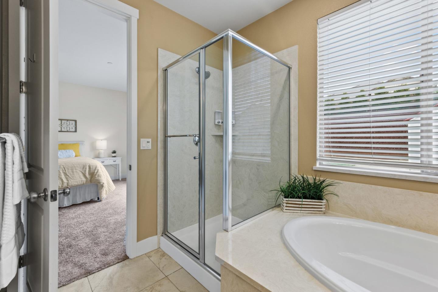 1605 Goldenstar Court