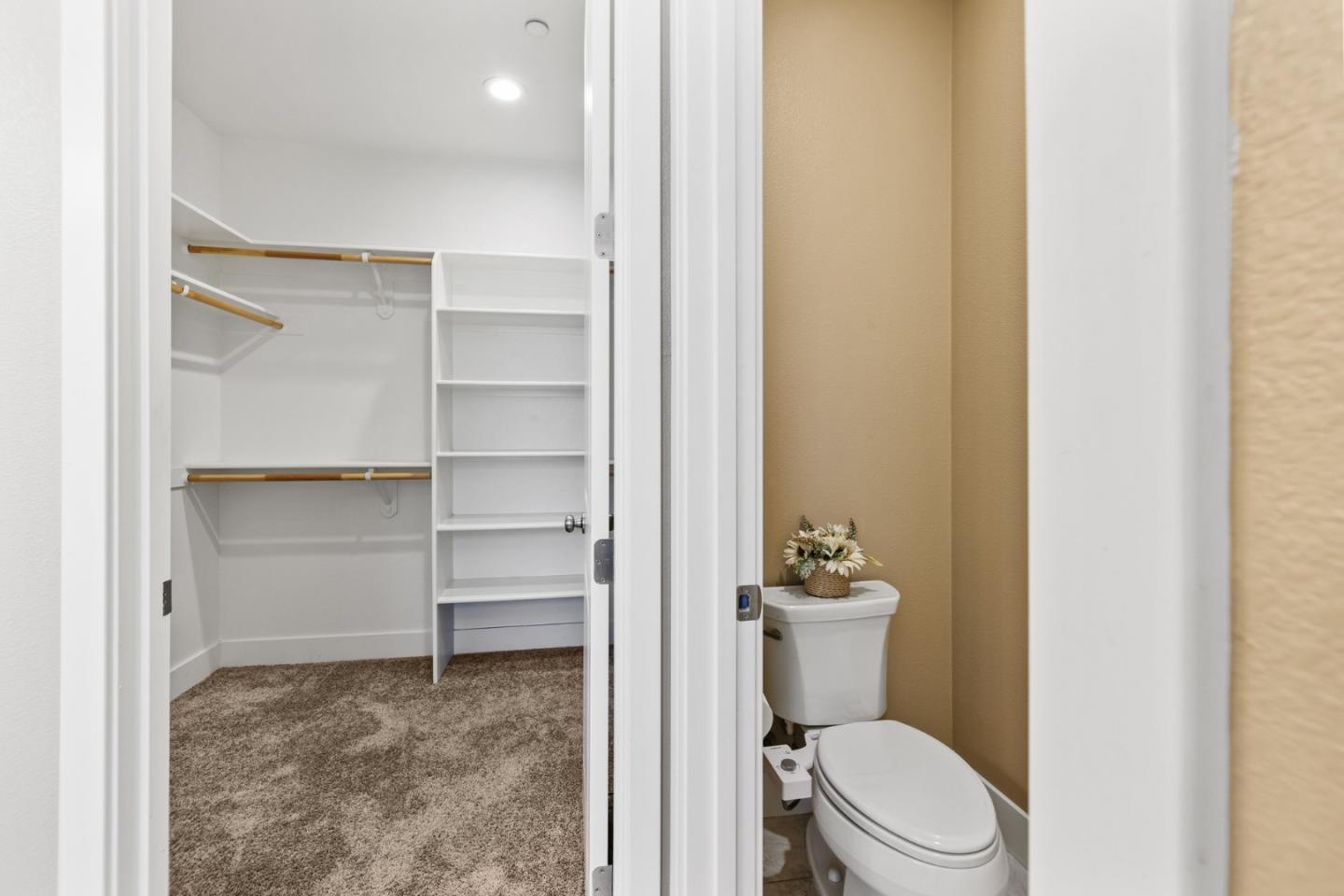 1605 Goldenstar Court