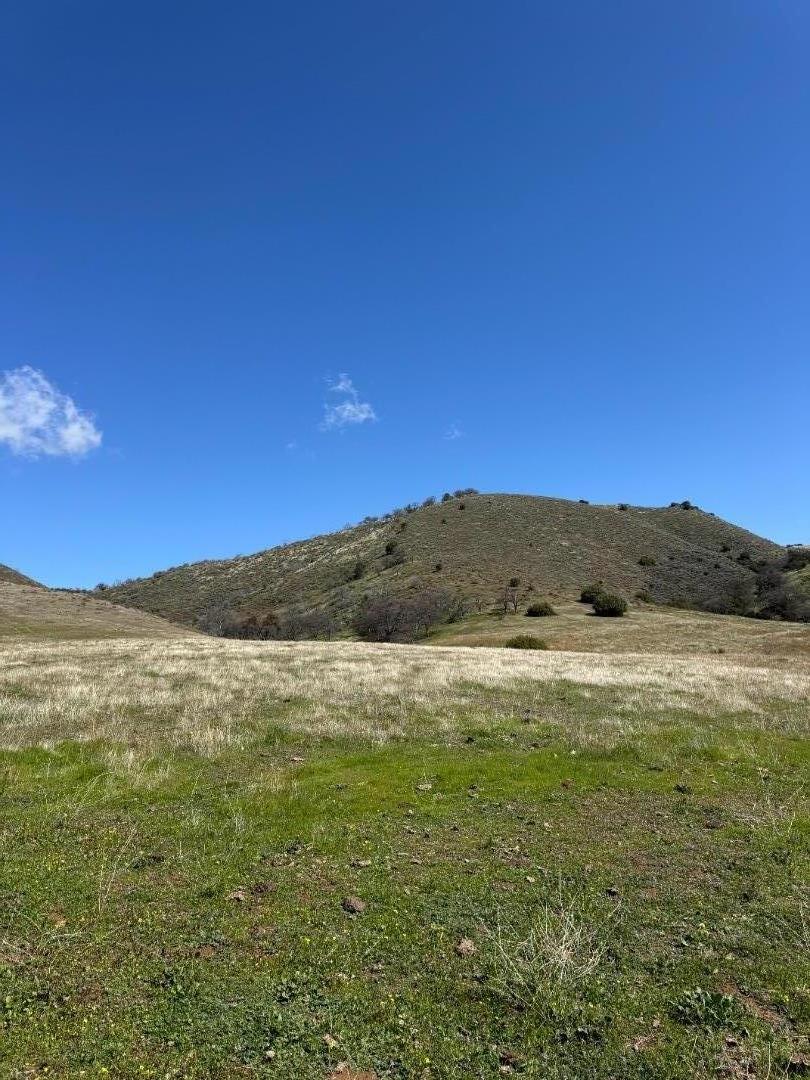 42.1 Panoche