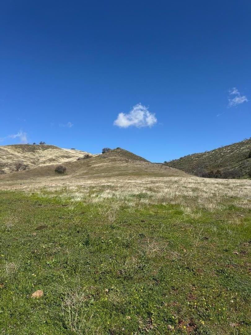 42.1 Panoche