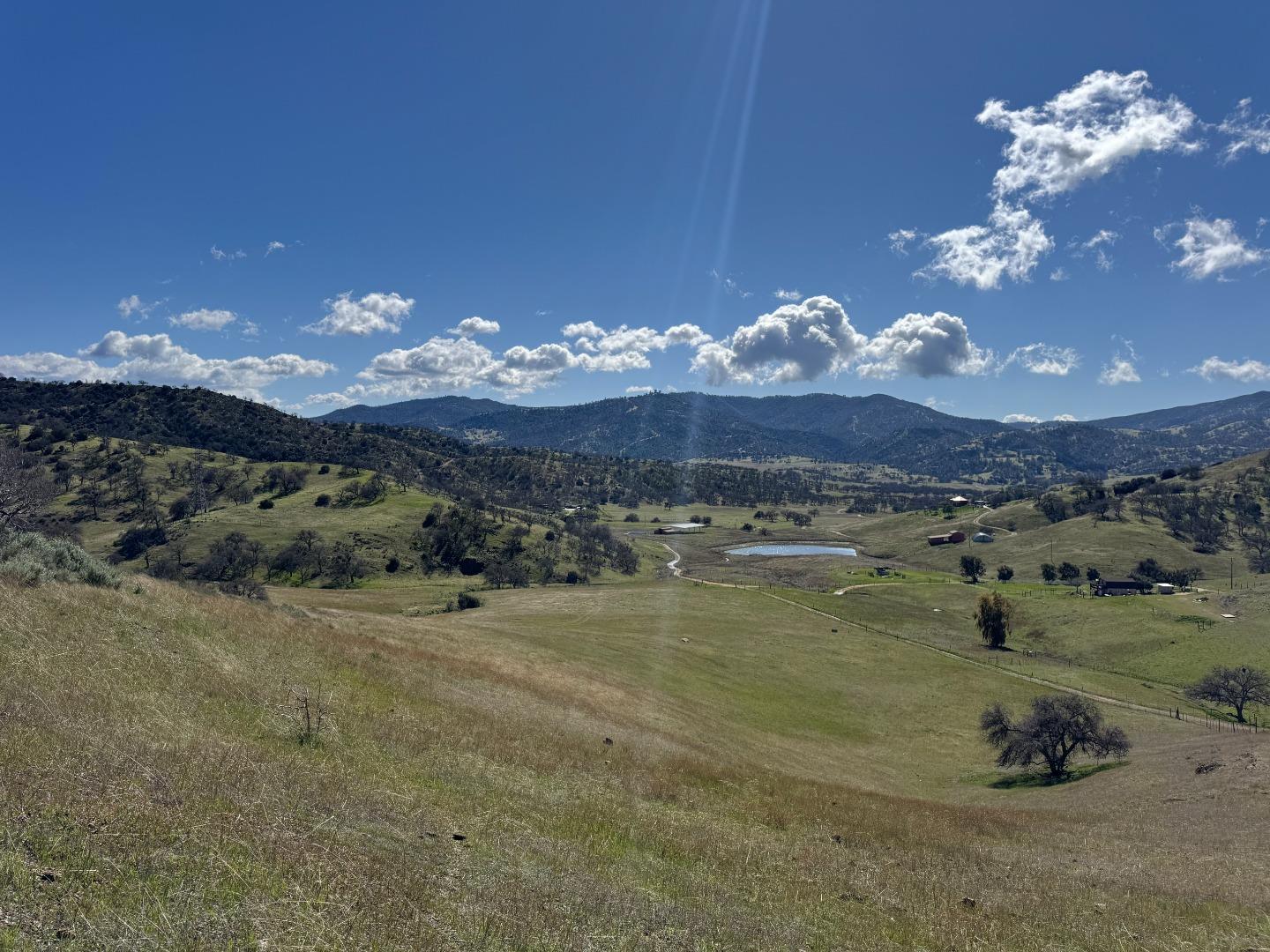 42.1 Panoche