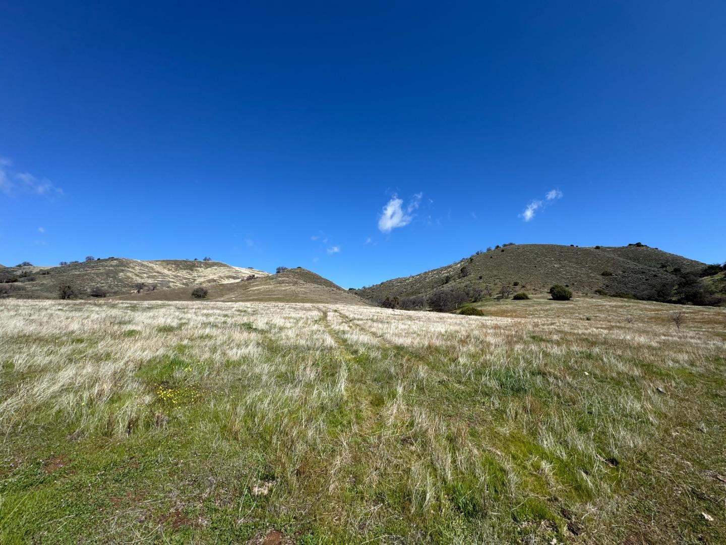 42.1 Panoche