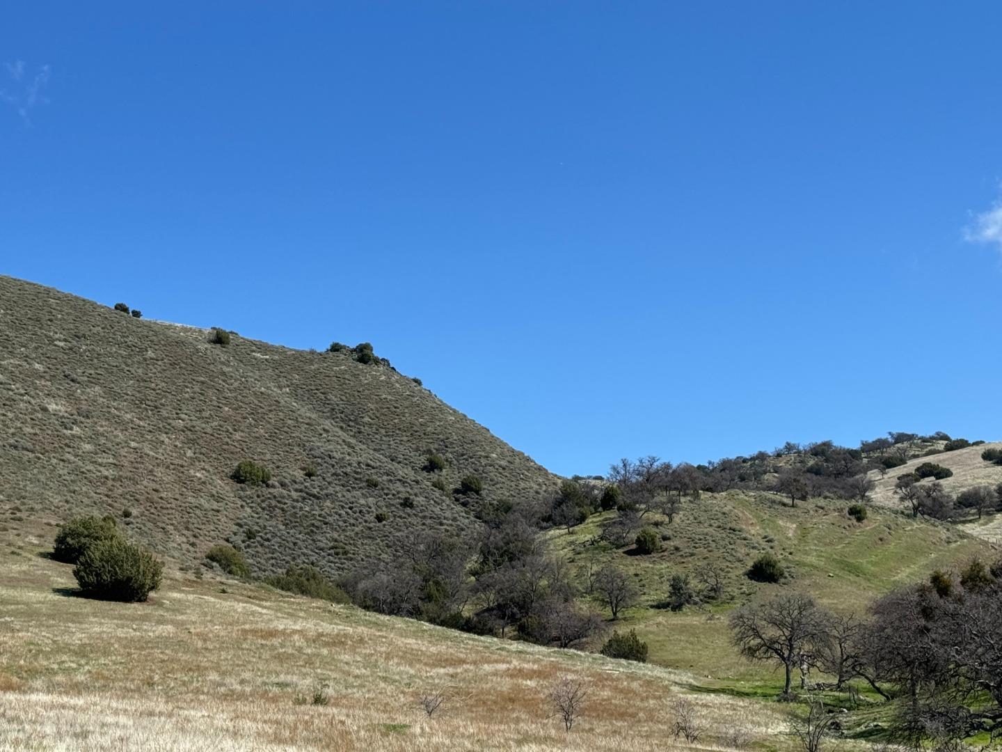 42.1 Panoche