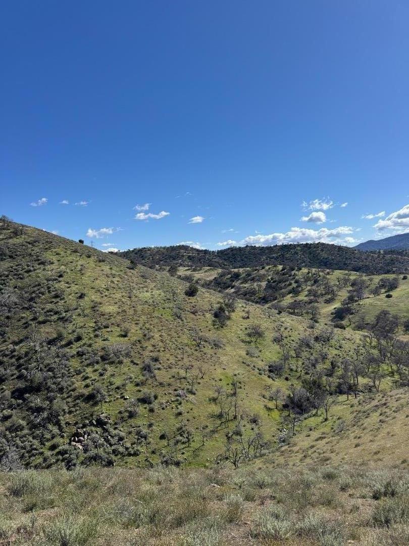 42.1 Panoche
