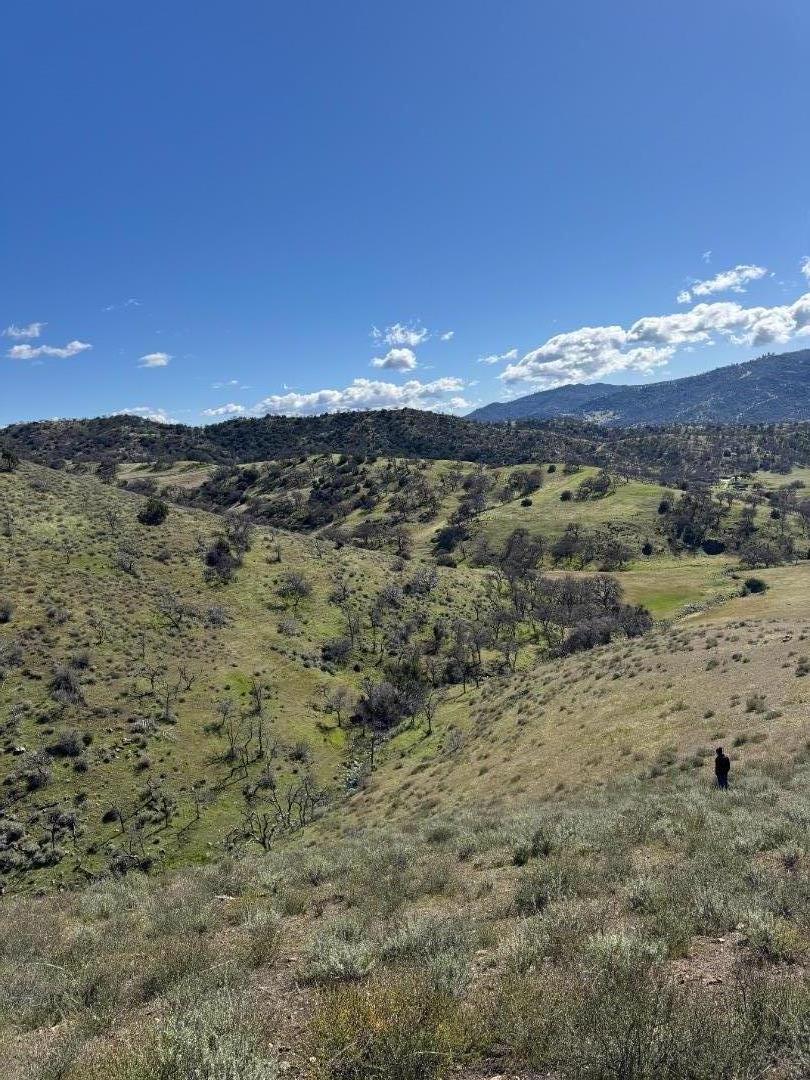 42.1 Panoche