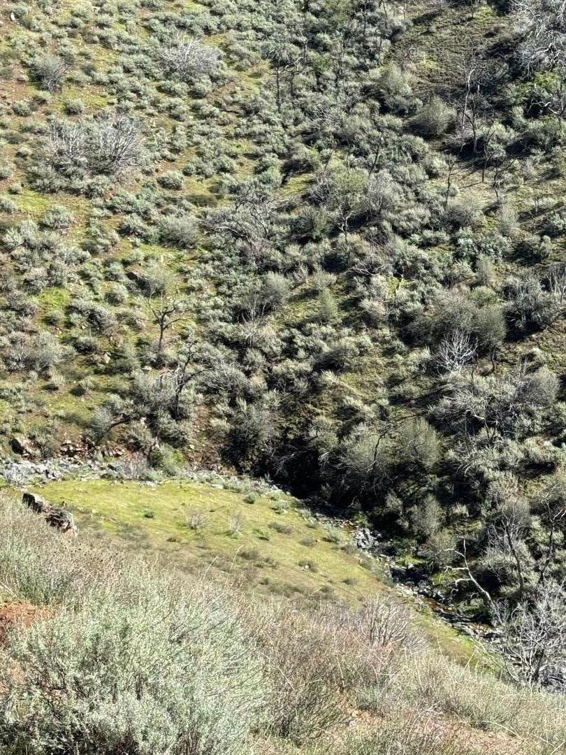 42.1 Panoche