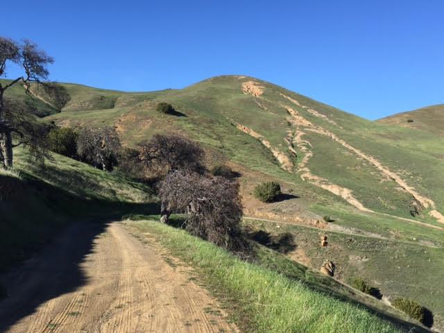 0 Willow Springs Ranch #8