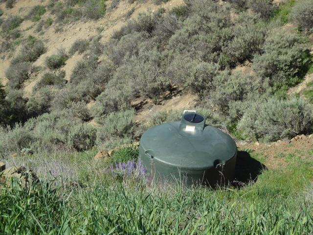 20006 Panoche Road