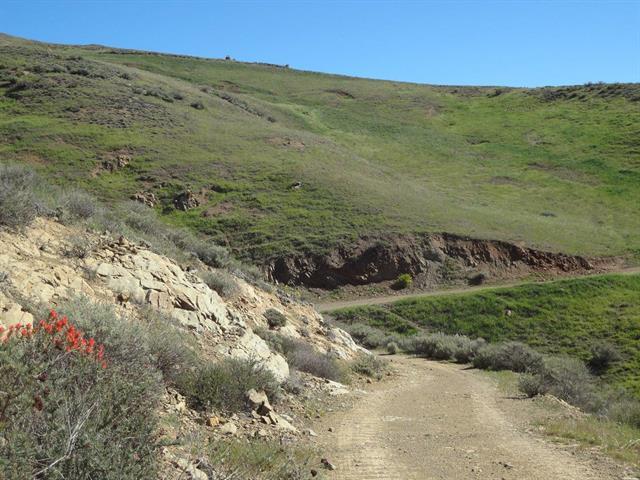 20006 Panoche Road