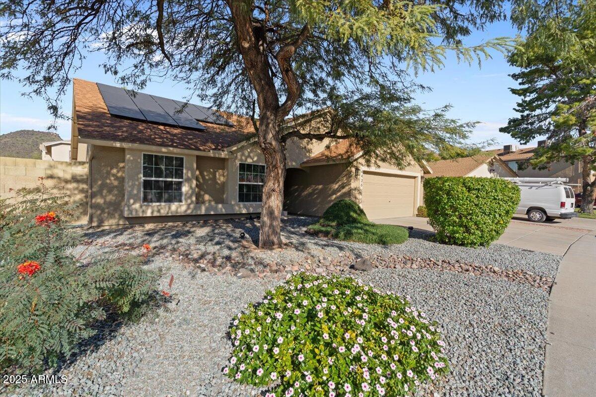 4436 W ESCUDA Drive