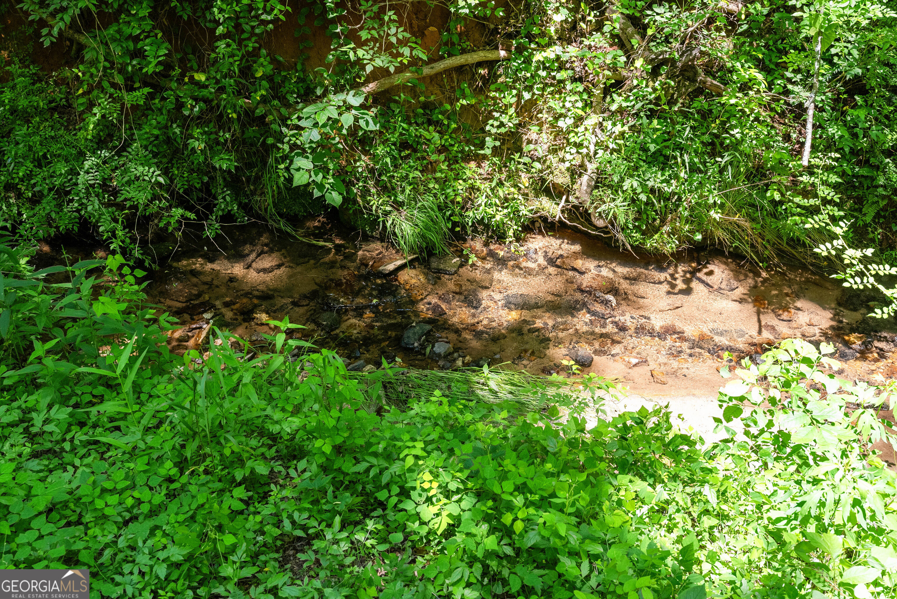 TRACT 1 Brookhaven Circle