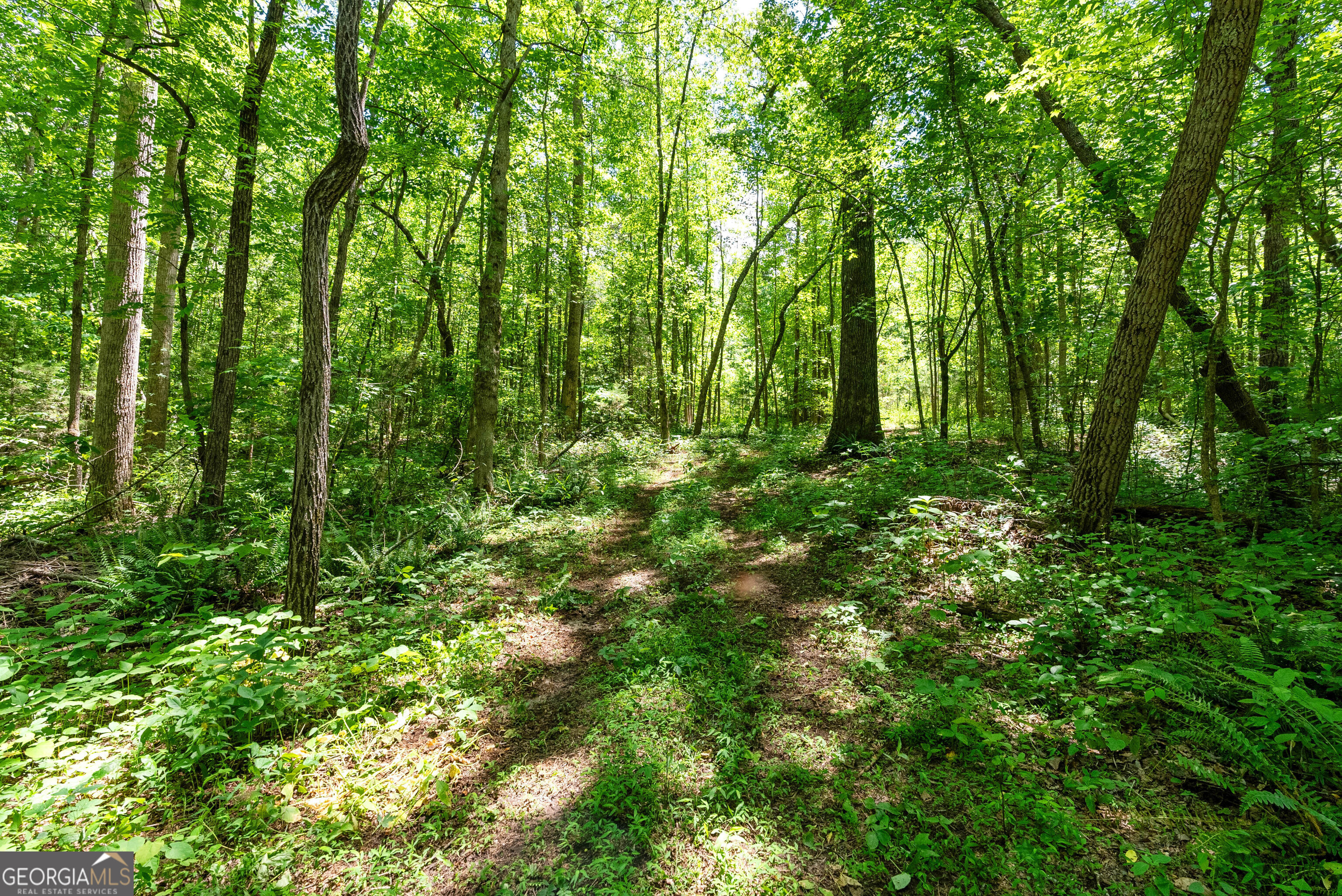 TRACT 1 Brookhaven Circle