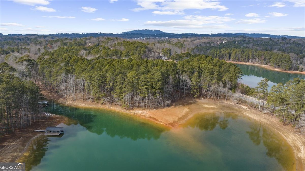 1460 Mary Alice Park Road