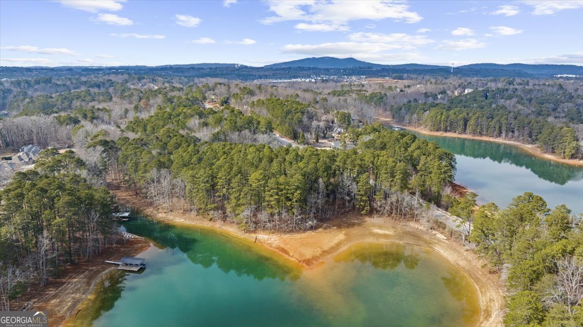 1460 Mary Alice Park Road