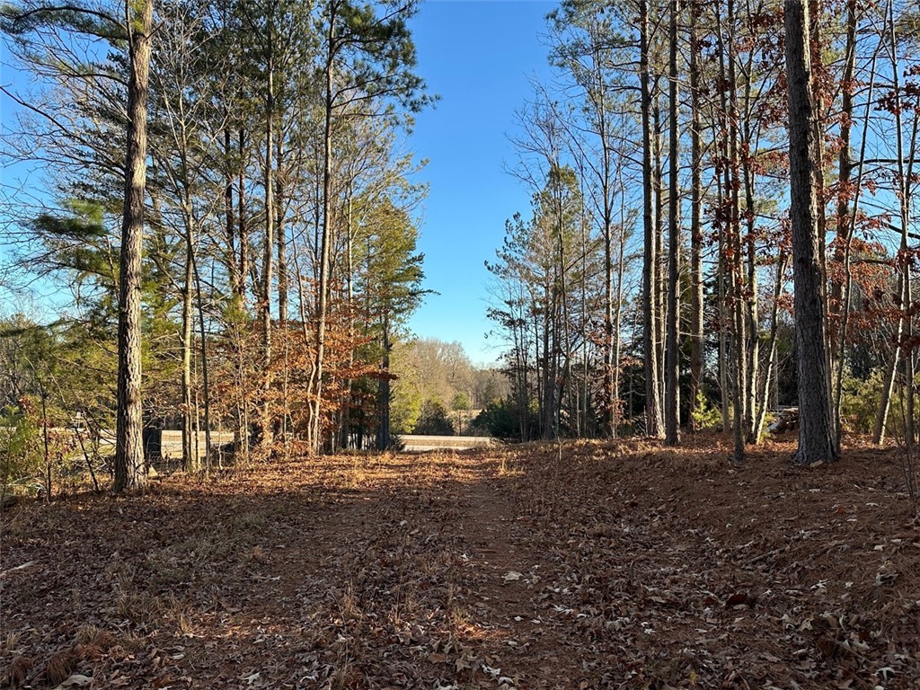 2539 Highway 28/Blue Ridge Boulevard