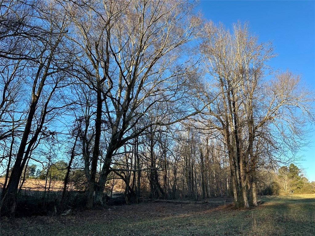 2539 Highway 28/Blue Ridge Boulevard