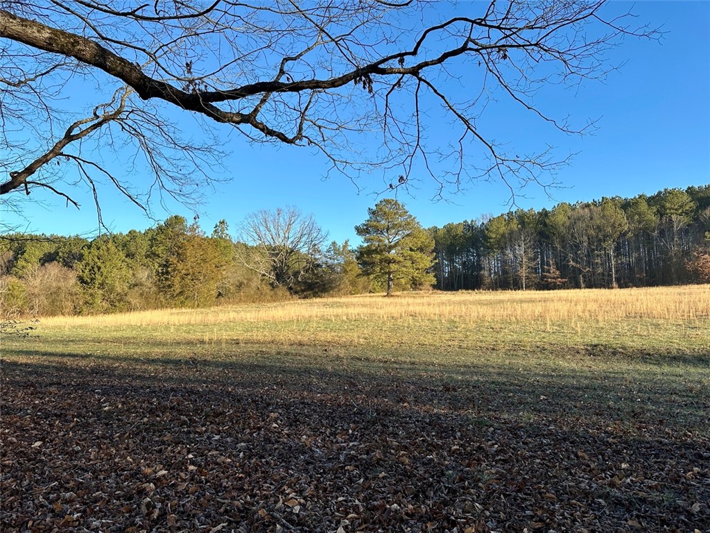 2539 Highway 28/Blue Ridge Boulevard