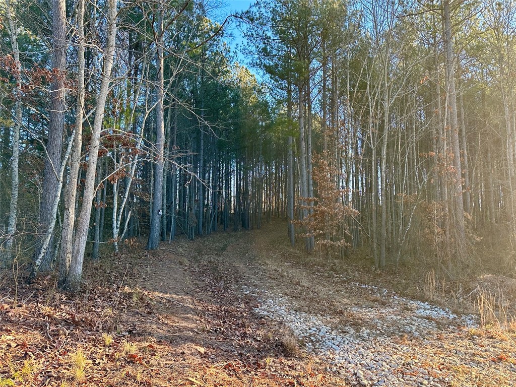 2539 Highway 28/Blue Ridge Boulevard