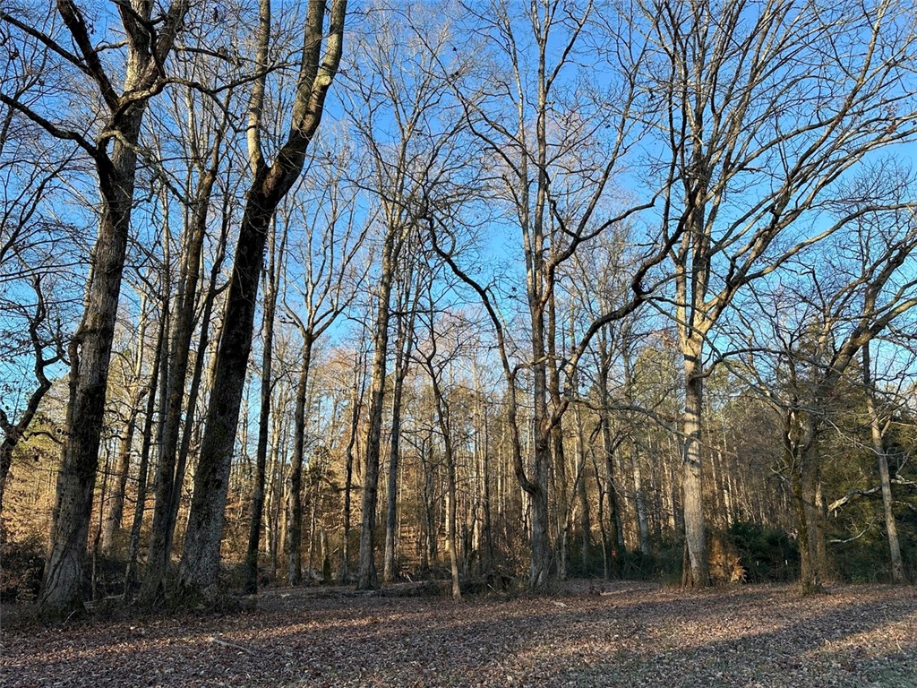 2539 Highway 28/Blue Ridge Boulevard