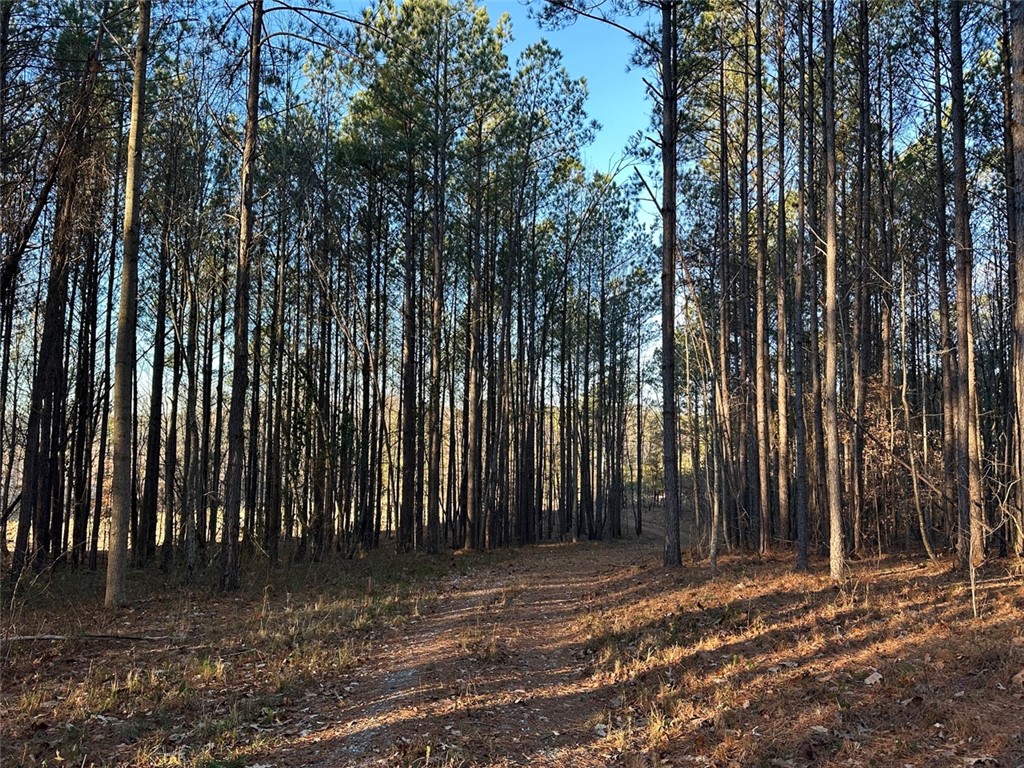 2539 Highway 28/Blue Ridge Boulevard