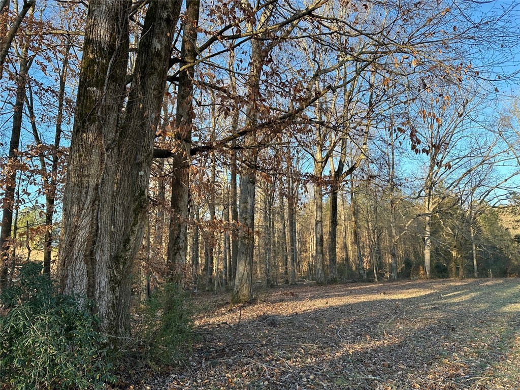 2539 Highway 28/Blue Ridge Boulevard