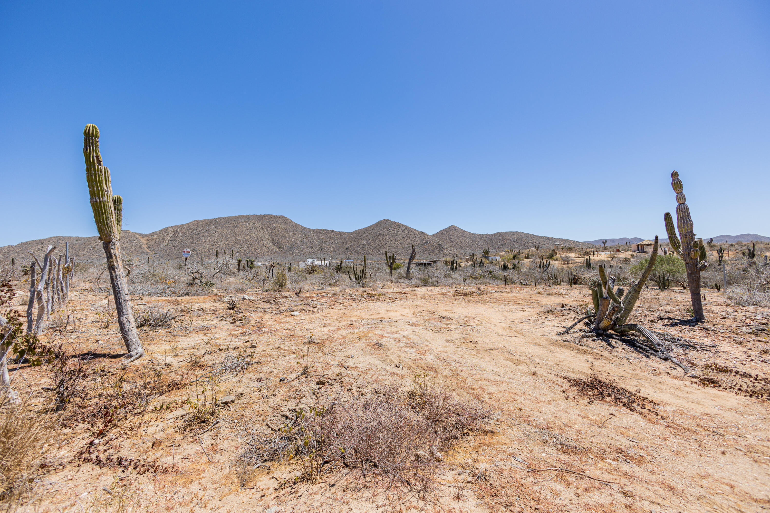 Picacho Lot 1956 at Cerritos