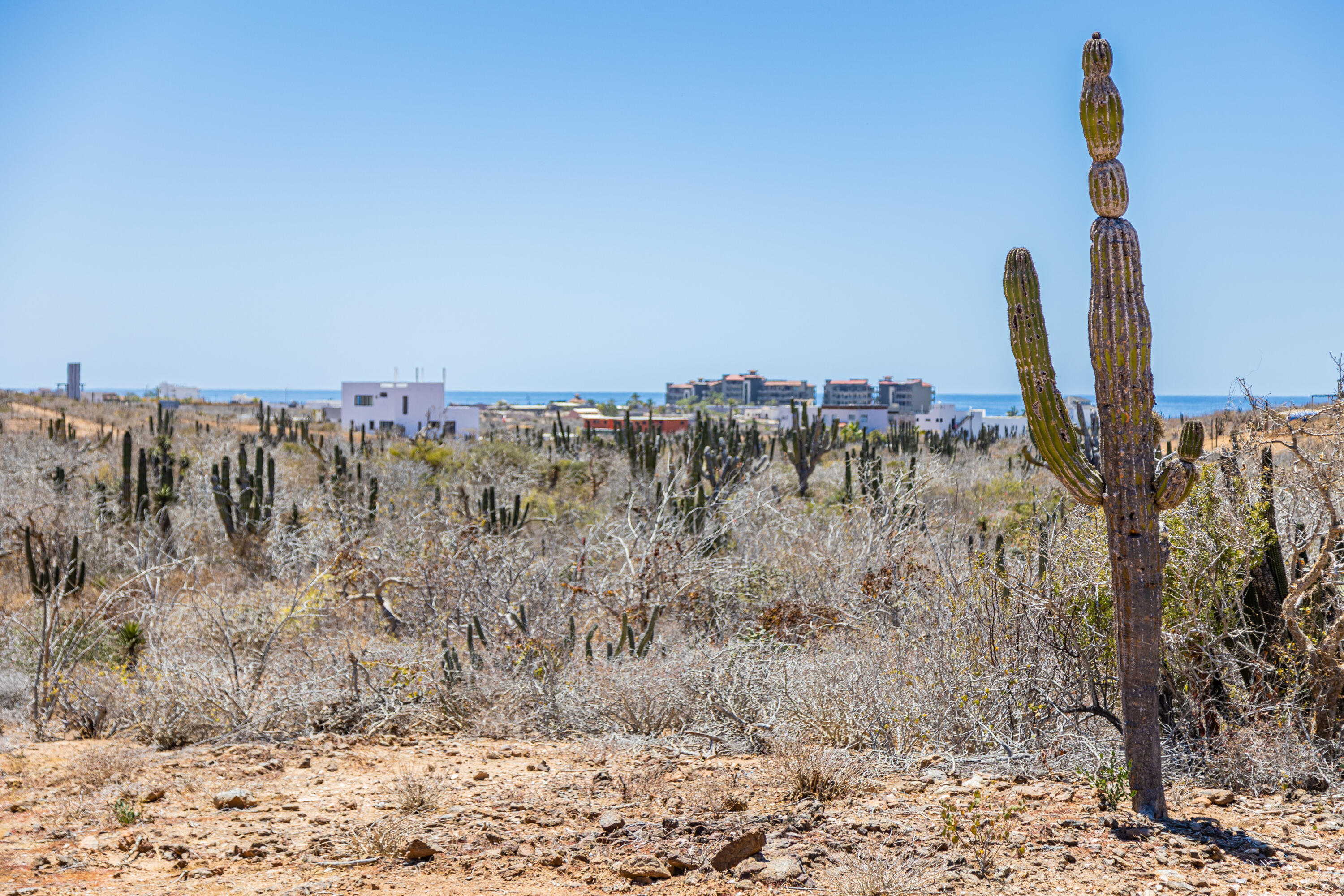 Picacho Lot 1956 at Cerritos