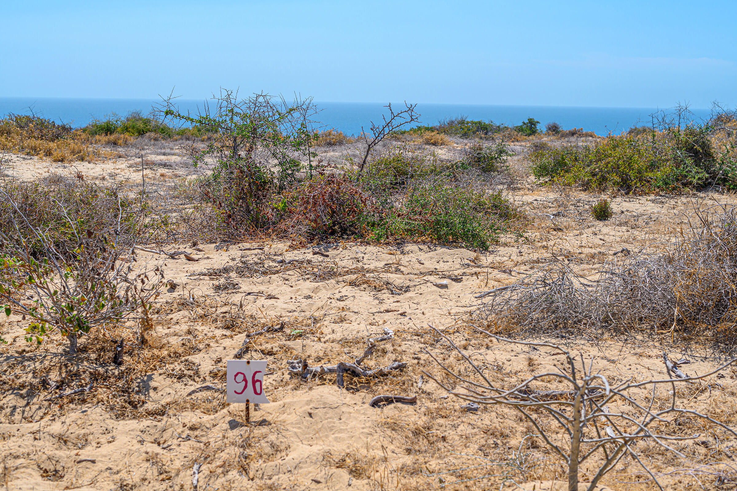 Cabo Vinorama Homesite Lot 96