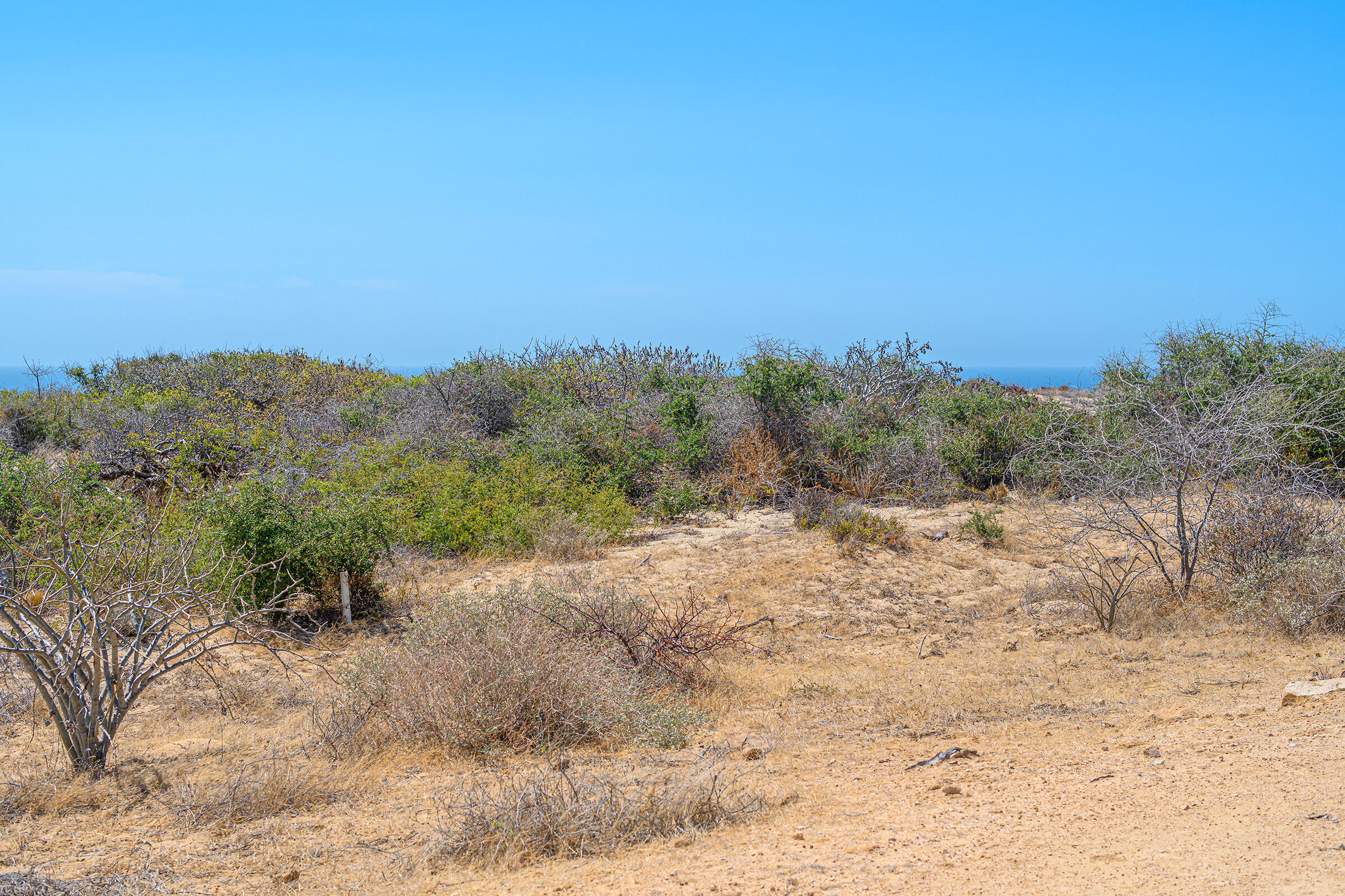 Cabo Vinorama Homesite Lot 96