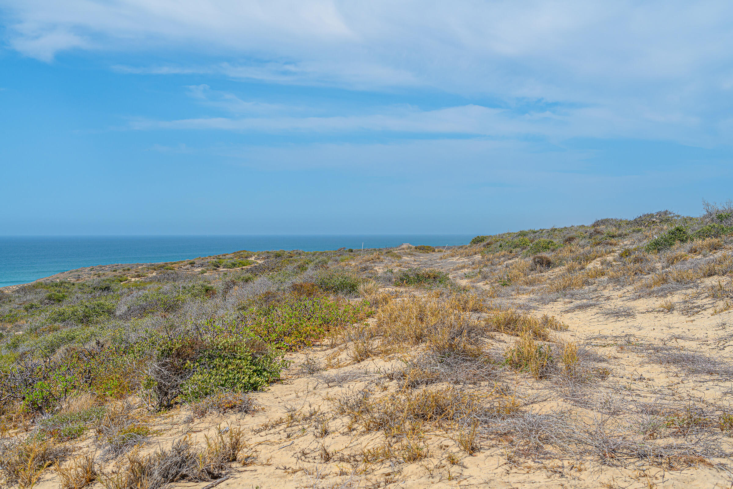 Cabo Vinorama Homesite Lot 96