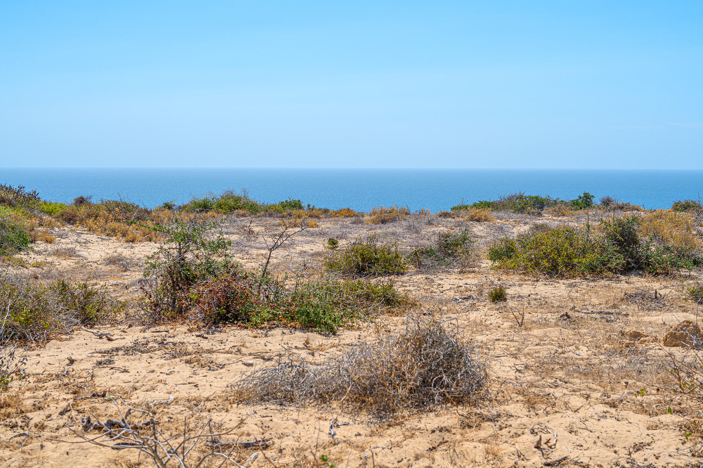 Cabo Vinorama Homesite Lot 96