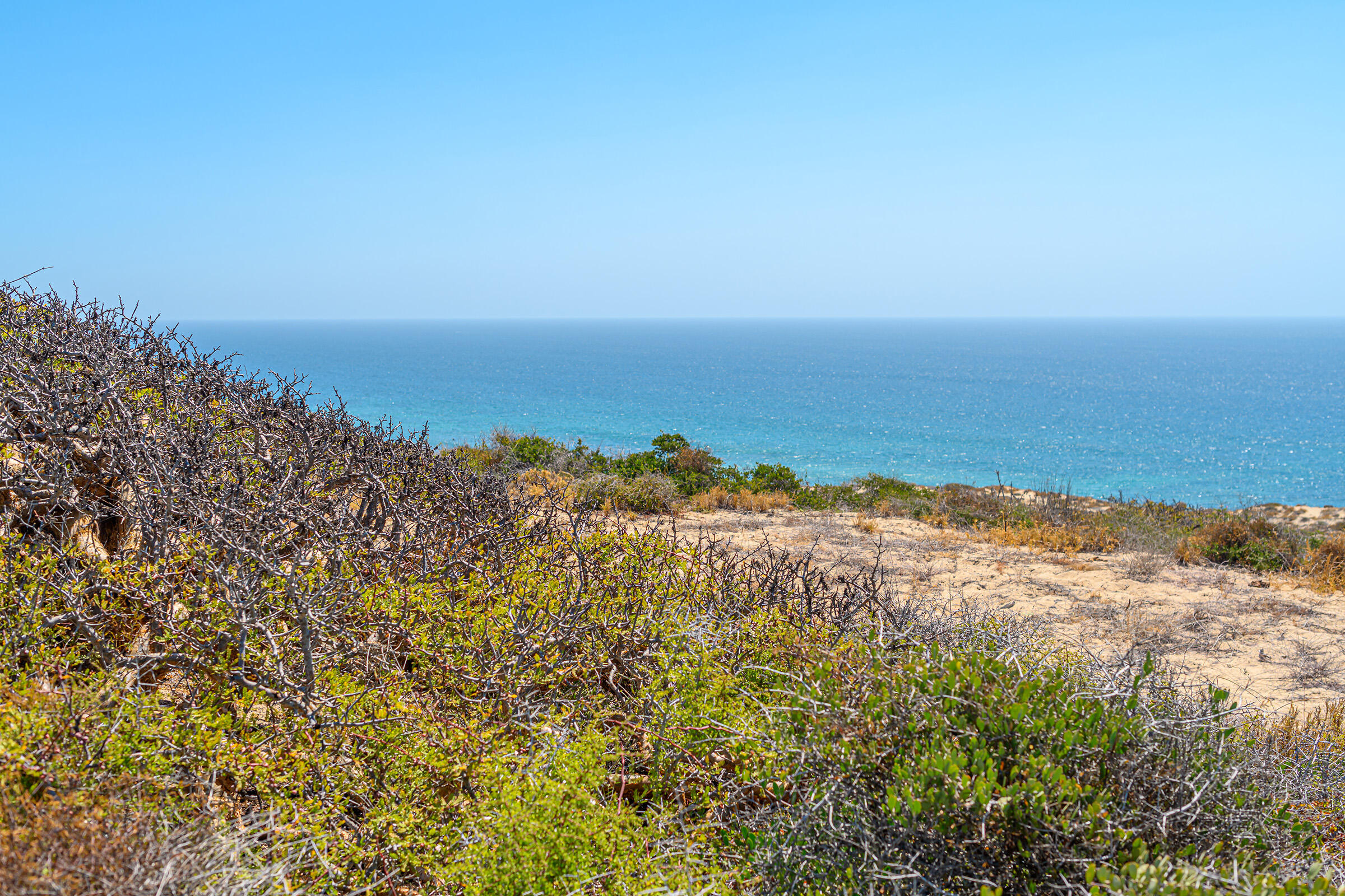 Cabo Vinorama Homesite Lot 96