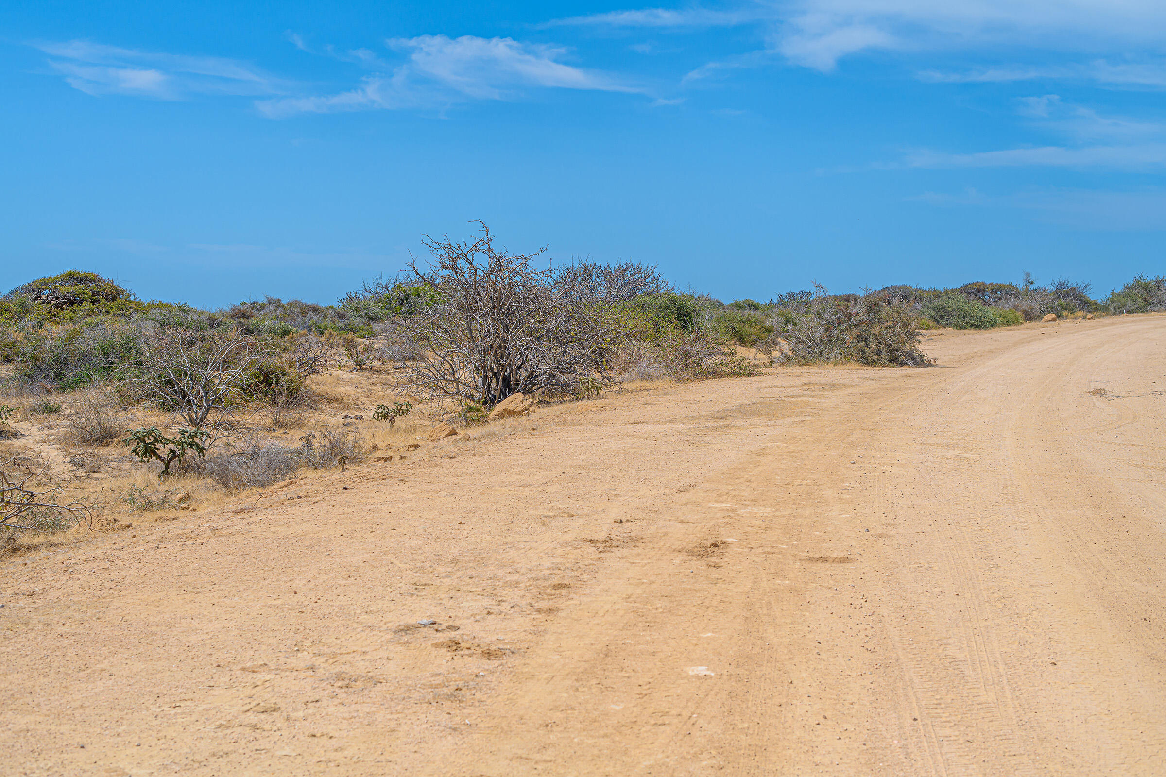 Cabo Vinorama Homesite Lot 96